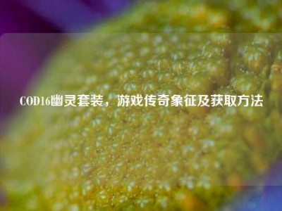COD16幽灵套装，游戏传奇象征及获取方法