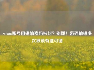 Steam账号因错输密码被封？别慌！密码输错多次被锁有迹可循