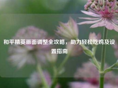 和平精英画面调整全攻略，助力轻松吃鸡及设置指南
