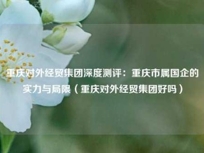 重庆对外经贸集团深度测评：重庆市属国企的实力与局限（重庆对外经贸集团好吗）