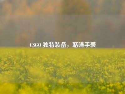 CSGO 独特装备，聒噪手表