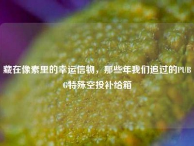 藏在像素里的幸运信物，那些年我们追过的PUBG特殊空投补给箱