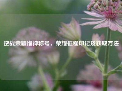 逆战荣耀诸神称号，荣耀征程印记及获取方法