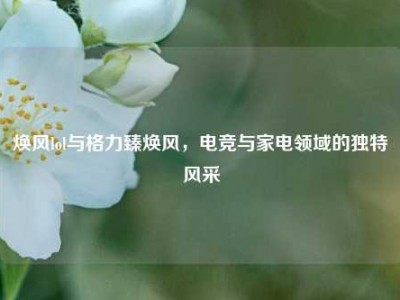 焕风lol与格力臻焕风，电竞与家电领域的独特风采