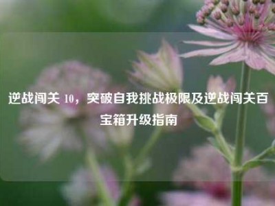 逆战闯关 10，突破自我挑战极限及逆战闯关百宝箱升级指南
