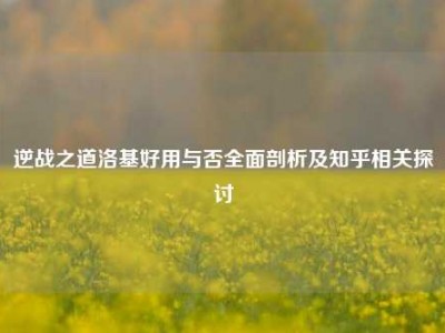 逆战之道洛基好用与否全面剖析及知乎相关探讨