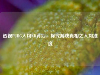 透视PUBG人均KD背后，探究游戏真相之人均准度