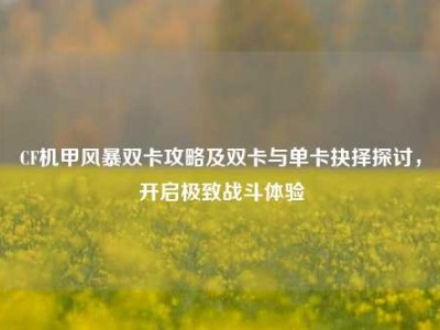 CF机甲风暴双卡攻略及双卡与单卡抉择探讨，开启极致战斗体验