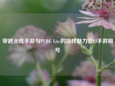 穿越火线手游与PUBG Lite的别样魅力及Cf手游租号