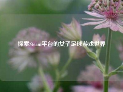 探索Steam平台的女子足球游戏世界