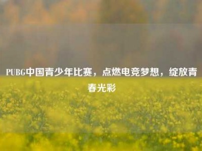 PUBG中国青少年比赛，点燃电竞梦想，绽放青春光彩