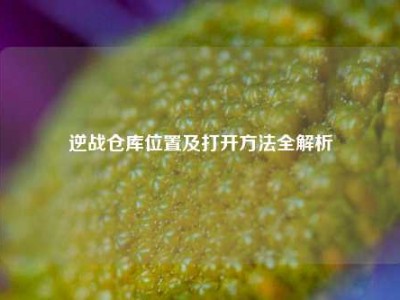逆战仓库位置及打开方法全解析