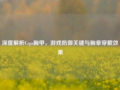 深度解析Csgo胸甲，游戏防御关键与胸章穿戴效果