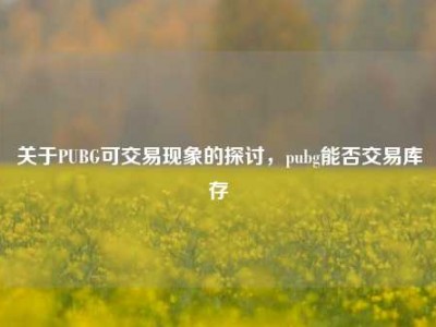 关于PUBG可交易现象的探讨，pubg能否交易库存