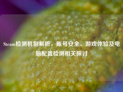 Steam检测机制解析，账号安全、游戏体验及电脑配置检测相关探讨