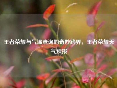 王者荣耀与气温查询的奇妙跨界，王者荣耀天气预报