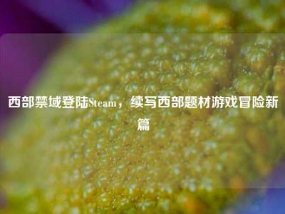 西部禁域登陆Steam，续写西部题材游戏冒险新篇