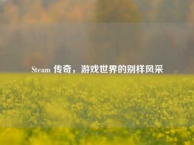 Steam 传奇，游戏世界的别样风采