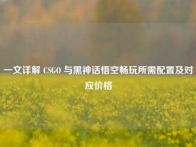 一文详解 CSGO 与黑神话悟空畅玩所需配置及对应价格