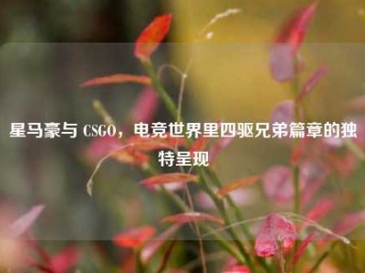 星马豪与 CSGO，电竞世界里四驱兄弟篇章的独特呈现