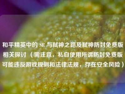 和平精英中的 SR 与弑神之路及弑神防封免费版相关探讨 （需注意，私自使用所谓防封免费版可能违反游戏规则和法律法规，存在安全风险）