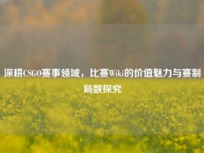 深耕CSGO赛事领域，比赛Wiki的价值魅力与赛制局数探究