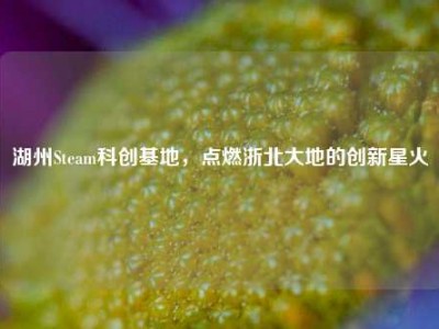 湖州Steam科创基地，点燃浙北大地的创新星火