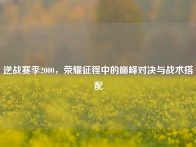 逆战赛季2000，荣耀征程中的巅峰对决与战术搭配