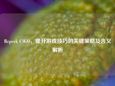 Repeek CSGO，提升游戏技巧的关键策略及含义解析
