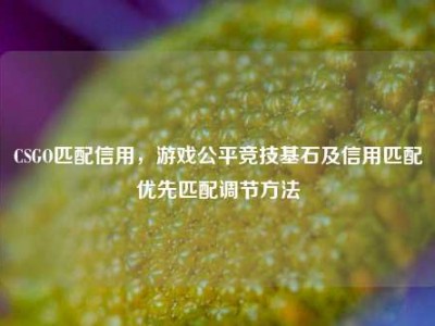 CSGO匹配信用，游戏公平竞技基石及信用匹配优先匹配调节方法