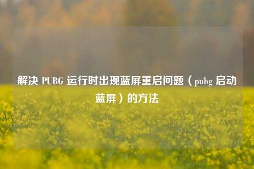 解决 PUBG 运行时出现蓝屏重启问题（pubg 启动蓝屏）的方法