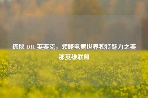 探秘 LOL 英赛克，领略电竞世界独特魅力之赛那英雄联盟