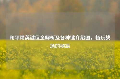 和平精英键位全解析及各种键介绍图，畅玩战场的秘籍