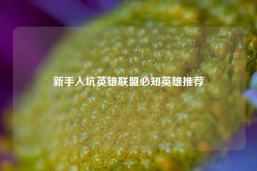 新手入坑英雄联盟必知英雄推荐