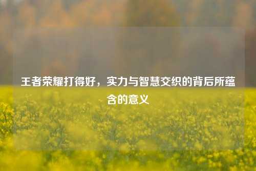 王者荣耀打得好，实力与智慧交织的背后所蕴含的意义