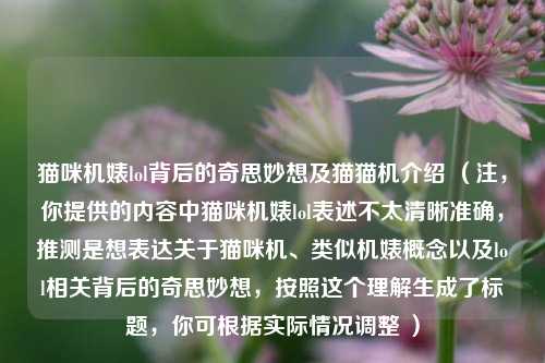 猫咪机婊lol背后的奇思妙想及猫猫机介绍 (注,你提供的内容中猫咪机婊lol表述不太清晰准确,推测是想表达关于猫咪机、类似机婊概念以及lol相关背后的奇思妙想,按照这个理解生成了标题,你可根据实际情况调整 )