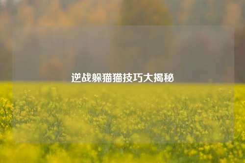 逆战躲猫猫技巧大揭秘