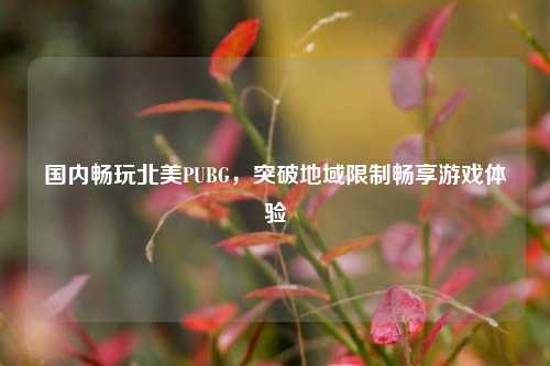 国内畅玩北美PUBG,突破地域限制畅享游戏体验