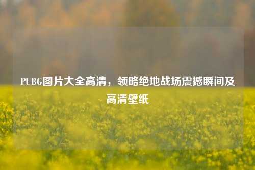 PUBG图片大全高清,领略绝地战场震撼瞬间及高清壁纸