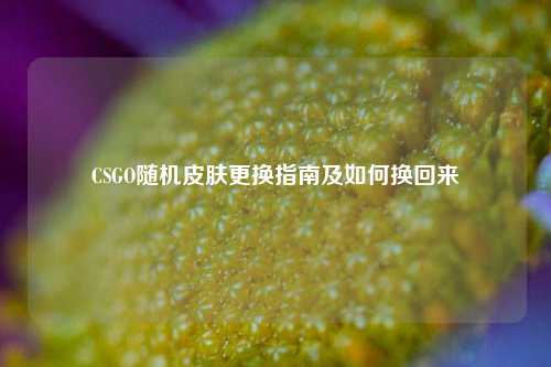 CSGO随机皮肤更换指南及如何换回来