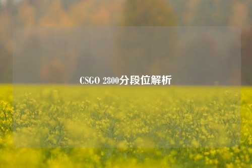 CSGO 2800分段位解析