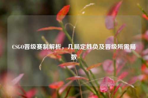 CSGO晋级赛制解析，几局定胜负及晋级所需局数