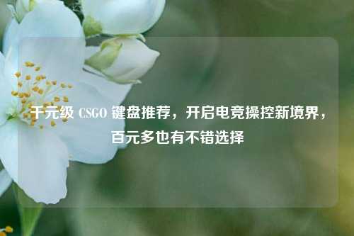 千元级 CSGO 键盘推荐，开启电竞操控新境界，百元多也有不错选择