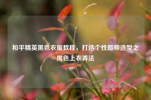和平精英黑色衣服教程,打造个性酷帅造型之黑色上衣弄法