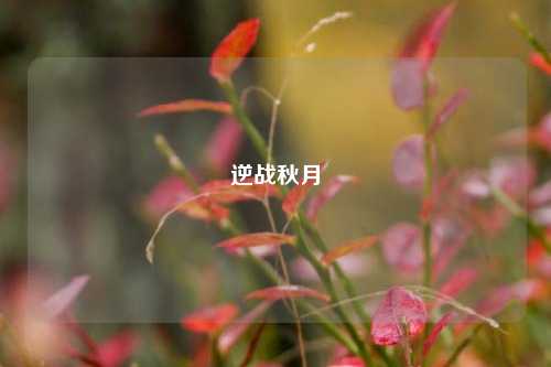 逆战秋月