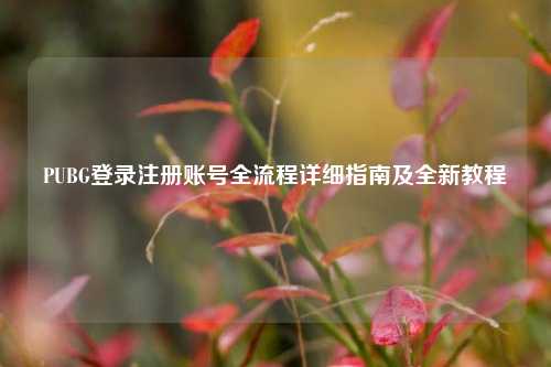 PUBG登录注册账号全流程详细指南及全新教程