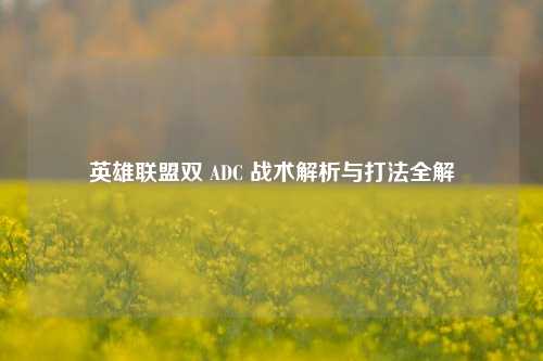 英雄联盟双 ADC 战术解析与打法全解