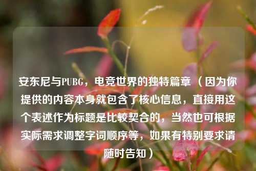 安东尼与PUBG,电竞世界的独特篇章 (因为你提供的内容本身就包含了核心信息,直接用这个表述作为标题是比较契合的,当然也可根据实际需求调整字词顺序等,如果有特别要求请随时告知)