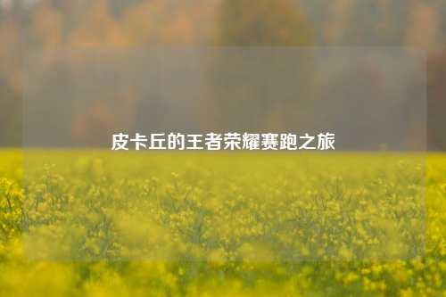 皮卡丘的王者荣耀赛跑之旅
