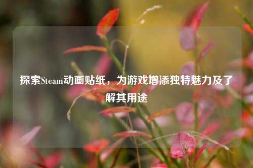 探索Steam动画贴纸,为游戏增添独特魅力及了解其用途